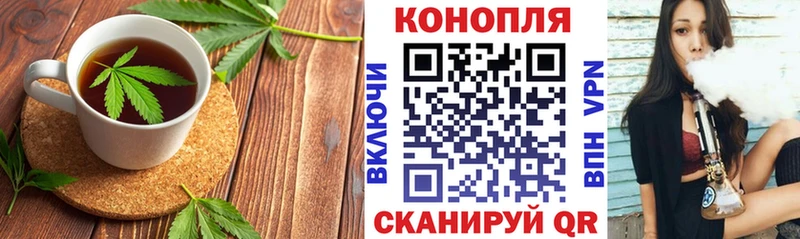 магазин продажи наркотиков  Волгореченск  Cannafood конопля 