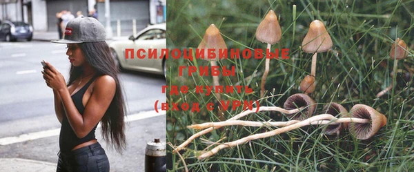 гидропоника Балабаново