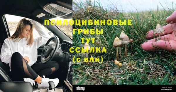 гашишное масло Белокуриха