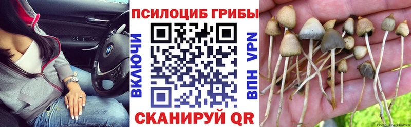 Галлюциногенные грибы Magic Shrooms  shop формула  kraken зеркало  Волгореченск  цены наркотик 